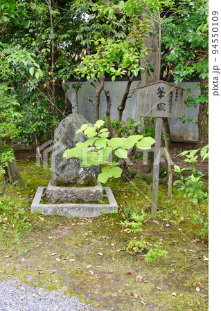京都 廬山寺 日本画家 池田遙邨先生の筆塚 京都 廬山寺 日本画家 池田遙邨先生の筆塚 94550109