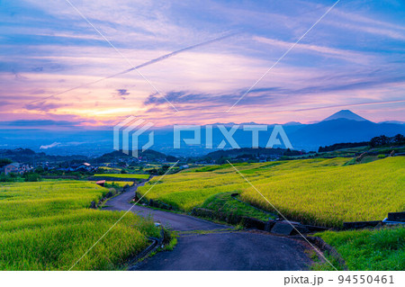 【秋素材】収穫時期を迎えた中野の棚田の日の出【山梨県】 94550461