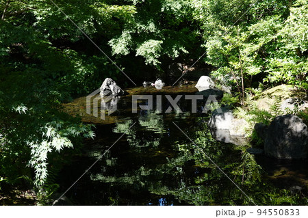 神嶽山神苑 八氣の泉 神嶽山神苑 八氣の泉 94550833