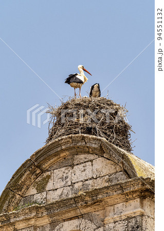 Storks on the Church of Santa Maria in Maderuelo in the province of Segovia, Spain 94551132