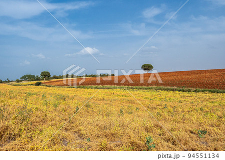 Red soil, remote rural landscape near Caleruega in Burgos province, Spain 94551134
