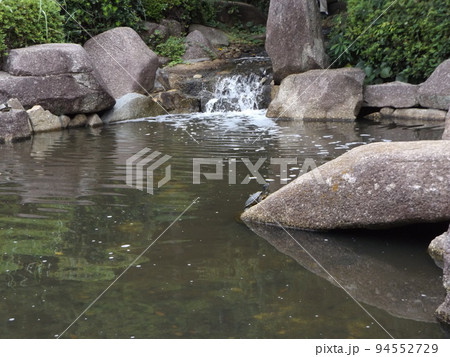 稲毛海浜公園浜の池の小さい滝 94552729