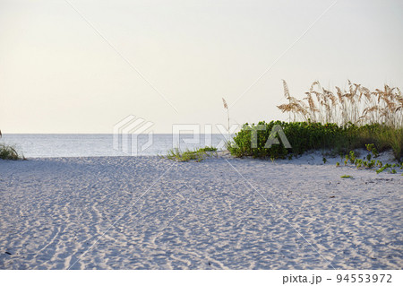 Seaside beach with small sand dunes and grassy vegetation on warm summer evening 94553972