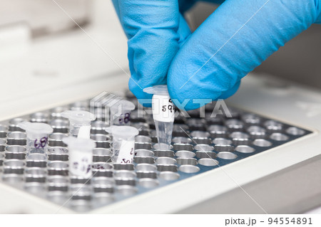 Closeup of a scientist hand while working at the laboratory with a thermal cycler. Polymerase chain reaction technique. PCR technique Closeup of a scientist hand while working at the laboratory with a thermal cycler. Polymerase chain reaction technique. PCR technique 94554891