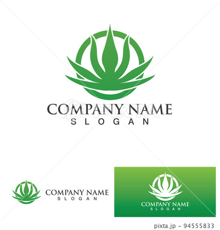 Aloe vera logo vector ilustration template Aloe vera logo vector ilustration template 94555833