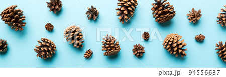 Christmas pine cones on colored paper border composition. Christmas, New Year, winter concept. Flat lay, top view, copy space Christmas pine cones on colored paper border composition. Christmas, New Year, winter concept. Flat lay, top view, copy space 94556637