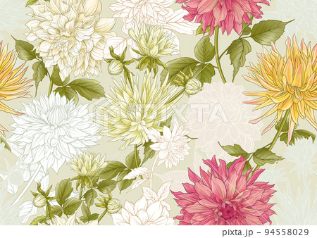 Dahlias flowers, outline Vector illustration.  94558029