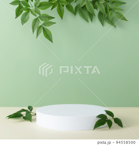 Abstract empty white podium with palm leaves on beige background 94558500