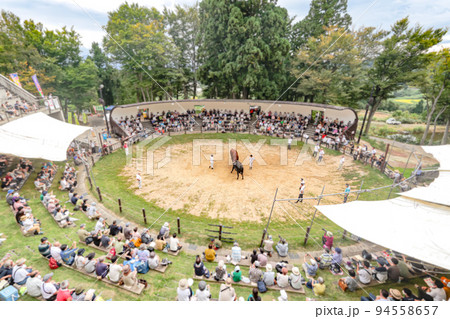 山古志闘牛場　山古志の牛の角突き (長岡市山古志地域) 94558657