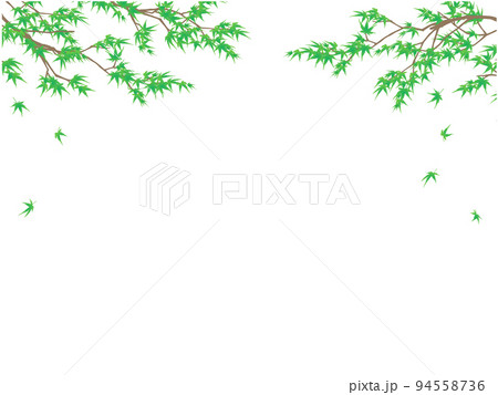 もみじのフレーム①(上部,青もみじ,白背景) もみじのフレーム①(上部,青もみじ,白背景) 94558736