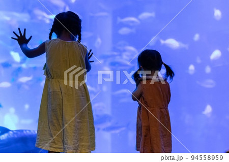 のとじま水族館 覗き込む女の子④ のとじま水族館 覗き込む女の子④ 94558959