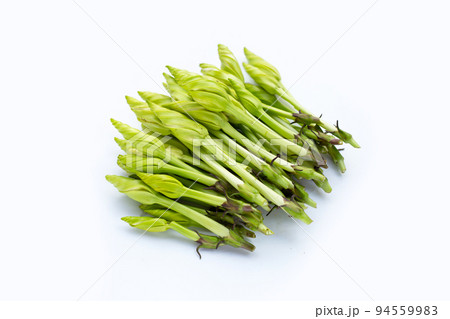 Moonflower or Ipomoea alba L for cooking 94559983