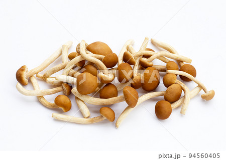 Yanagi Matsutake mushroom on white background. Yanagi Matsutake mushroom on white background. 94560405