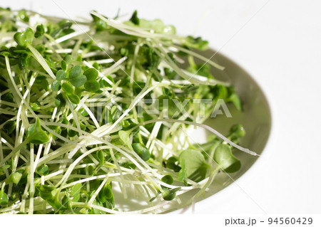 Organic kale sprouts on white background. Organic kale sprouts on white background. 94560429