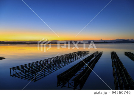 瀬戸内の冬　牡蠣棚並ぶ海を照らす朝焼け 94560746