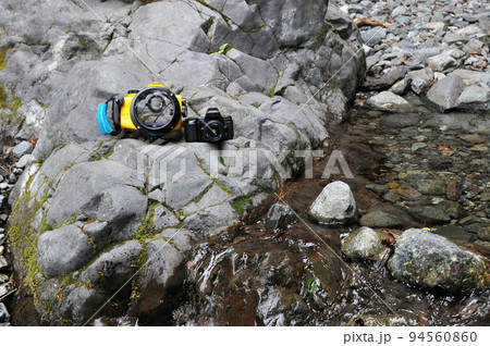 水中写真の機材 94560860