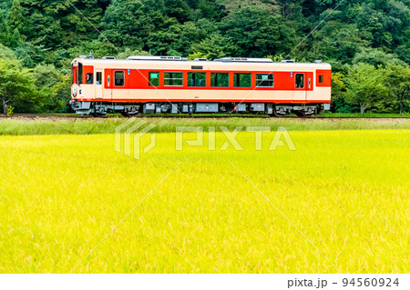 岐阜県 長良川鉄道　～稲穂が実る田園地帯を行く列車～ 94560924
