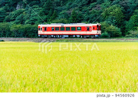 岐阜県 長良川鉄道　～稲穂が実る田園地帯を行く列車～ 94560926