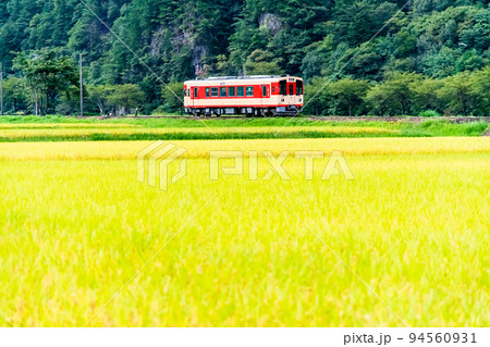 岐阜県 長良川鉄道　～稲穂が実る田園地帯を行く列車～ 94560931