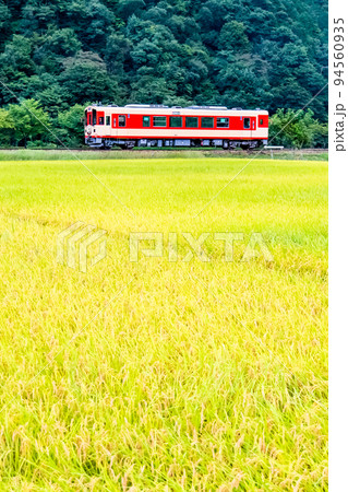 岐阜県 長良川鉄道　～稲穂が実る田園地帯を行く列車～ 94560935