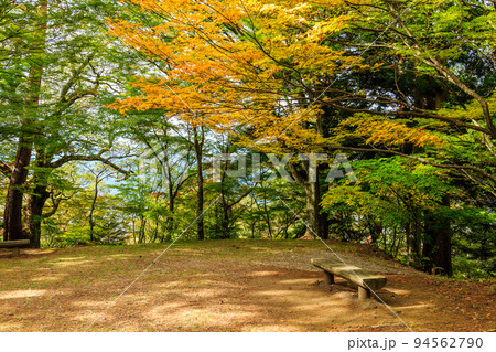 岐阜県飛騨高山　秋の城山公園　 94562790