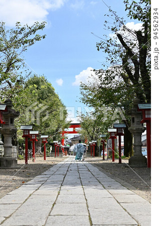 （信仰の風景）埼玉県久喜市 神社参道の往来 94562934