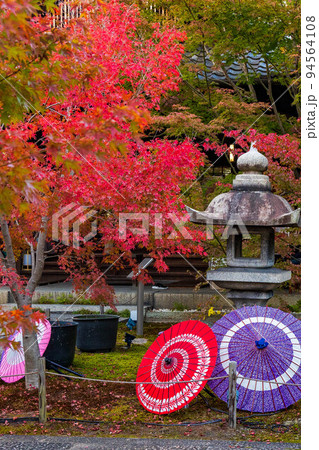 京都東山の秋 勝林寺の紅葉と和傘 京都東山の秋 勝林寺の紅葉と和傘 94564108