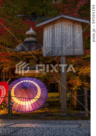 京都東山の秋 勝林寺 紅葉と和傘のライトアップ 京都東山の秋 勝林寺 紅葉と和傘のライトアップ 94564194