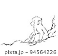 岩場に座っている白い子猿 94564226