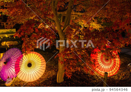 京都東山の秋 勝林寺 紅葉と和傘のライトアップ 京都東山の秋 勝林寺 紅葉と和傘のライトアップ 94564346