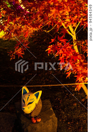 京都東山の秋 勝林寺 紅葉ライトアップ 京都東山の秋 勝林寺 紅葉ライトアップ 94564349