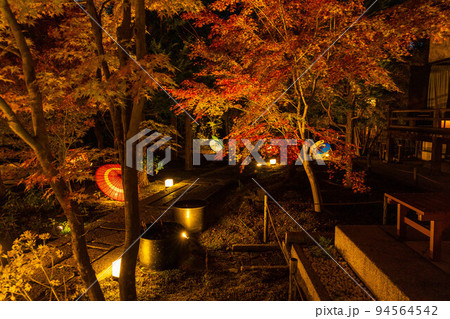 京都東山の秋 勝林寺 紅葉と和傘のライトアップ 京都東山の秋 勝林寺 紅葉と和傘のライトアップ 94564542