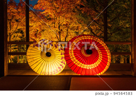 京都東山の秋　勝林寺　紅葉と和傘のライトアップ 94564583