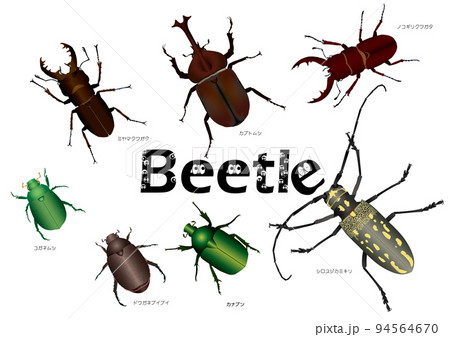 Beetle2 Beetle2 94564670