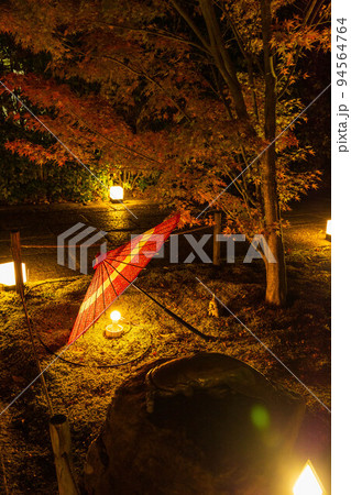 京都東山の秋 勝林寺 紅葉と和傘のライトアップ 京都東山の秋 勝林寺 紅葉と和傘のライトアップ 94564764