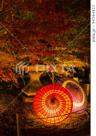 京都東山の秋 勝林寺 紅葉と和傘のライトアップ 京都東山の秋 勝林寺 紅葉と和傘のライトアップ 94564817