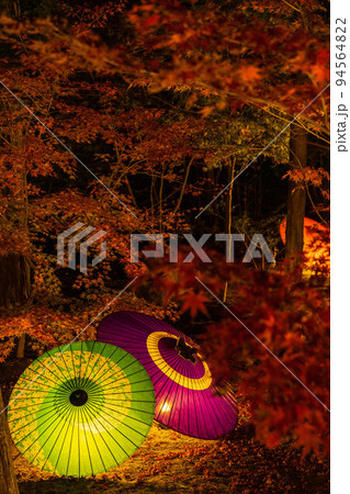 京都東山の秋　勝林寺　紅葉と和傘のライトアップ 94564822