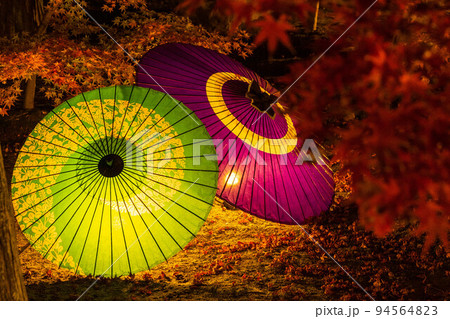 京都東山の秋 勝林寺 紅葉と和傘のライトアップ 京都東山の秋 勝林寺 紅葉と和傘のライトアップ 94564823