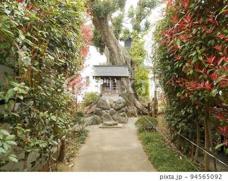 大六天神社　伝畠山重忠墓 94565092