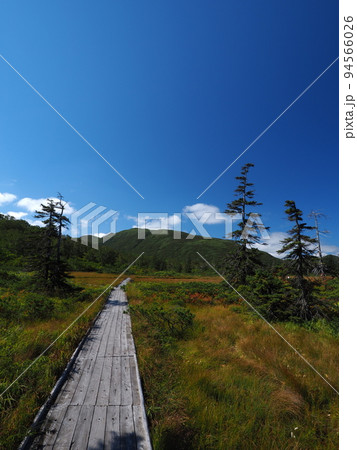 北海道 神仙沼 湿原 北海道 神仙沼 湿原 94566026
