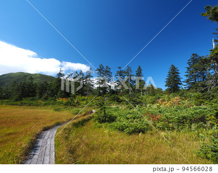 北海道 神仙沼 湿原 北海道 神仙沼 湿原 94566028