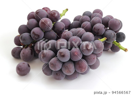 ぶどう(巨峰) ぶどう(巨峰) 94566567
