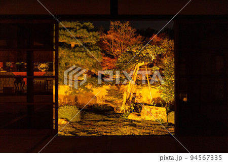 京都東山の秋　天得院　紅葉ライトアップ 94567335