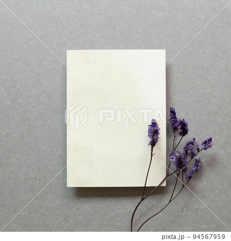 Blank memo pad and purple dry flowers on gray background. top view, copy space 94567959