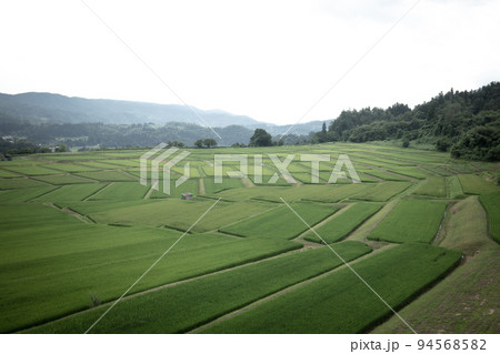 山形県 椹平の棚田 山形県 椹平の棚田 94568582
