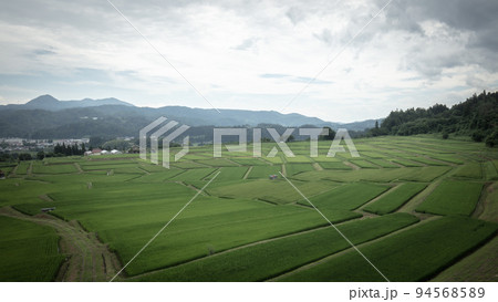 山形県 椹平の棚田 94568589