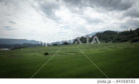 山形県 椹平の棚田 94568592