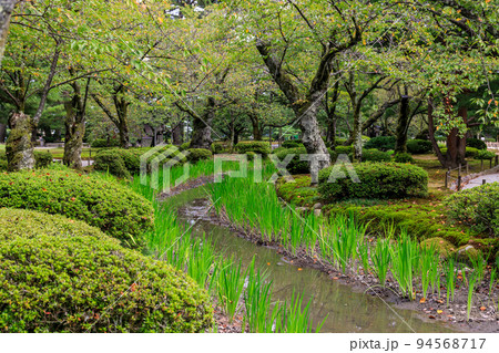 金沢兼六園の庭園の風景 金沢兼六園の庭園の風景 94568717