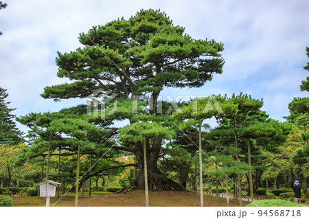 金沢兼六園の庭園の風景 金沢兼六園の庭園の風景 94568718