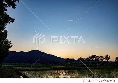 新潟　日没後の水田 94568943